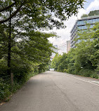 Brooklyn Bridge Park