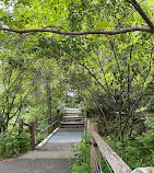 Brooklyn Bridge Park