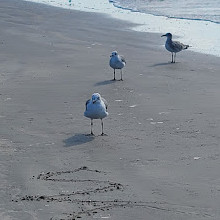 Beach Pocket Park 1