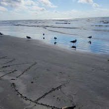 Beach Pocket Park 1