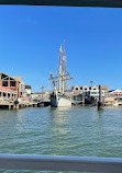 Historic Harbor Tours and Dolphin Watch