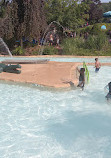 Mountain Creek Water Park