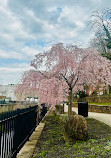 Elizabeth River Trail