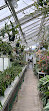 Orchid greenhouse