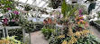 Orchid greenhouse