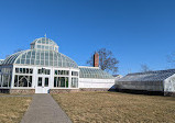 Orchid greenhouse