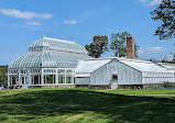 Orchid greenhouse