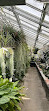 Orchid greenhouse