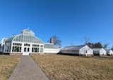 Orchid greenhouse