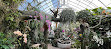 Orchid greenhouse