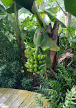 Duke Farms Community Garden