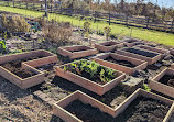 Duke Farms Community Garden