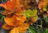 Duke Farms Community Garden