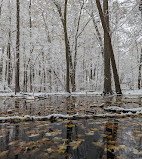 Eberwhite Nature Area