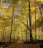 Eberwhite Nature Area