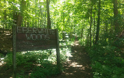 Eberwhite Nature Area