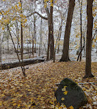 Eberwhite Nature Area