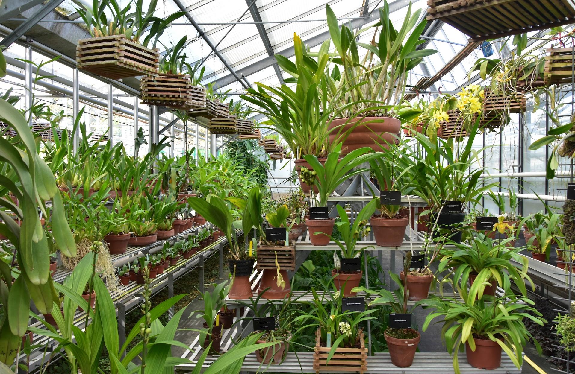 Invernaderos del Jardín de Luxemburgo