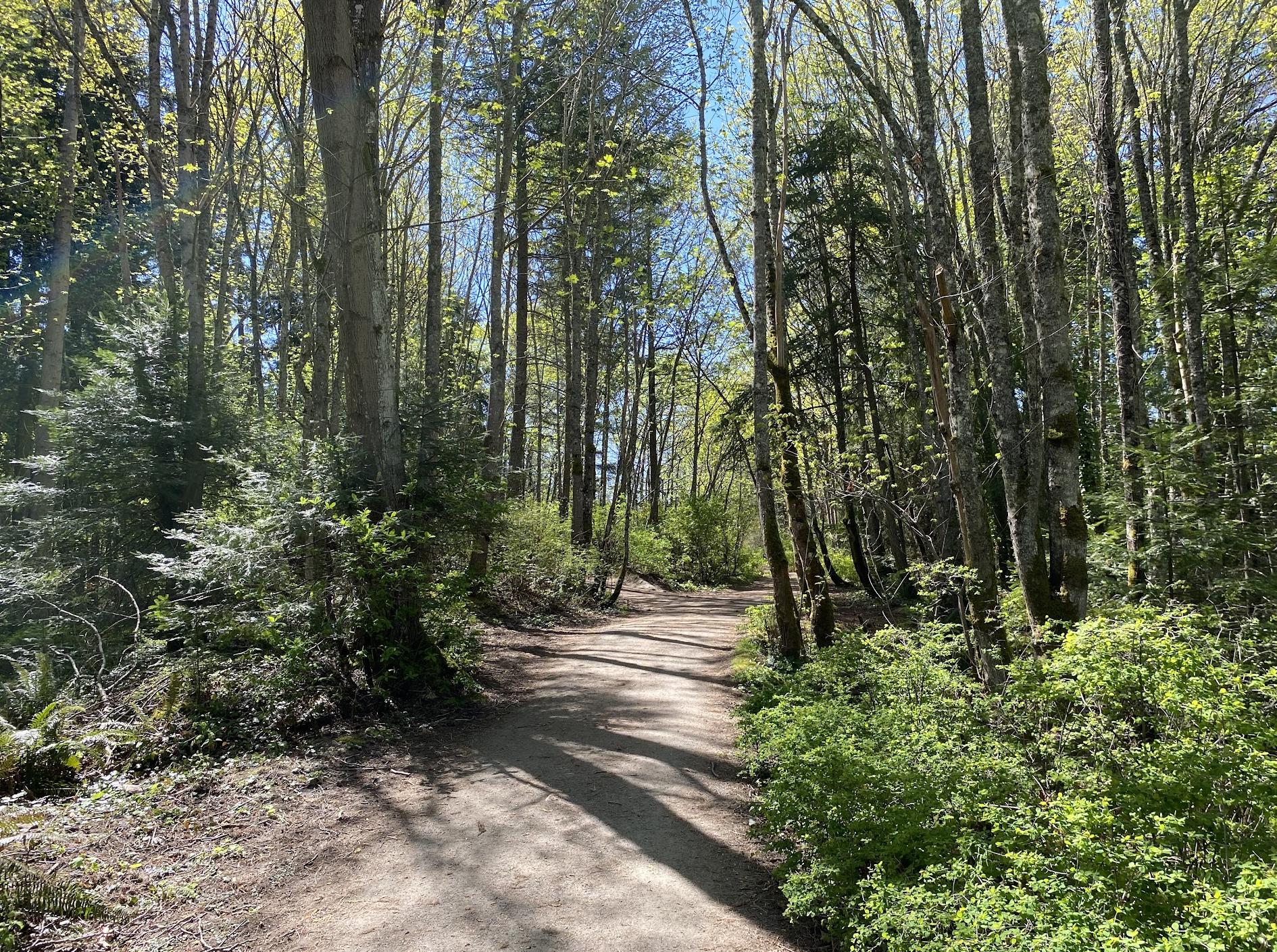 University Of Victoria Trail