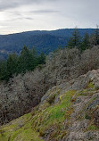 Mount Finlayson Trailhead