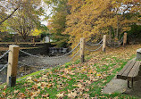 Bowker Creek Walkway