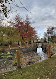 Bowker Creek Walkway