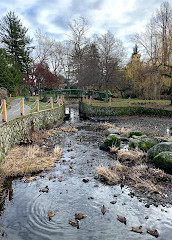 Bowker Creek Walkway