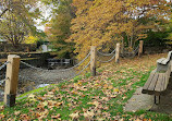 Bowker Creek Walkway