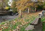 Bowker Creek Walkway