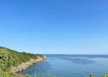 Praia dos Salgueiros