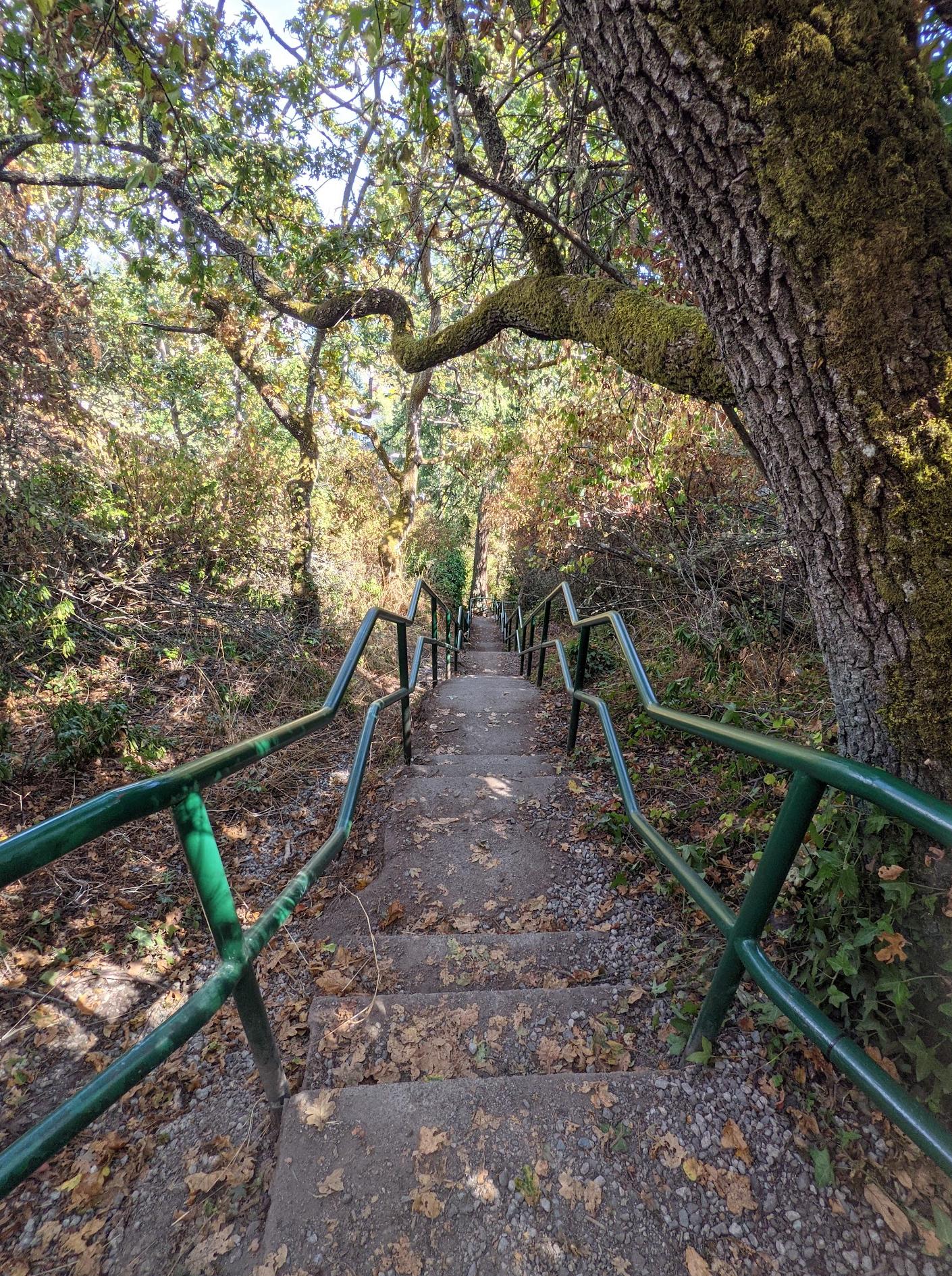 Access trail to King George Terrace