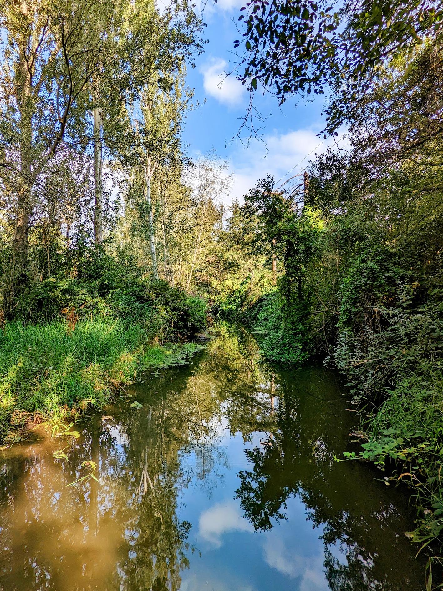 Colquitz River Trail