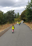 Colquitz River Trail