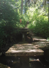 Colquitz River Trail