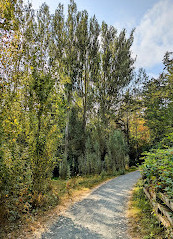 Colquitz River Trail