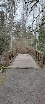 Colquitz River Trail