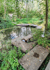 Colquitz River Trail