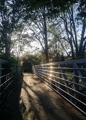 Colquitz River Trail