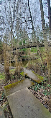 Colquitz River Trail