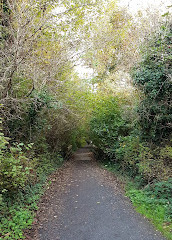 Colquitz River Trail