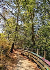 Colquitz River Trail