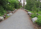 Colquitz River Trail