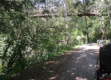 Colquitz River Trail