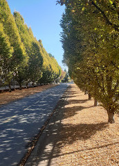 Inicio del sendero del ganso al galope Victoria