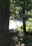 Lone Tree Hill Regional Park