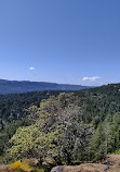 Lone Tree Hill Regional Park