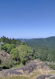 Lone Tree Hill Regional Park