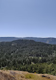 Lone Tree Hill Regional Park