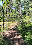 Lone Tree Hill Regional Park