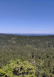 Lone Tree Hill Regional Park